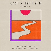 Música Tranquila para Tiempos Violentos