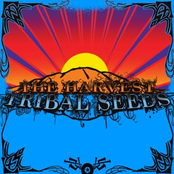 All I Know by Tribal Seeds