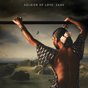Soldier of Love (Remix)