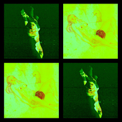 CITY PULSE INSTRUMENTALS