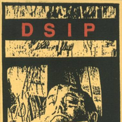 dsip