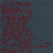 Rest For The Cockatoos