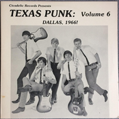 Texas Punk: Volume 6 (Dallas, 1966!)