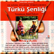Türkü Şenliği