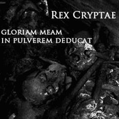 Gloriam meam in pulvere deducat