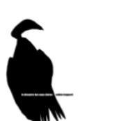 Le désastre des eaux claires