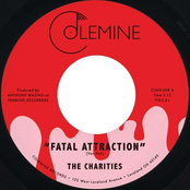 The Charities: Fatal Attraction / It's Not Our Time