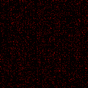 Colectivo Terapêutico do Ruído apresenta: