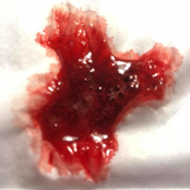 Session (Or Night Before the Death of the Sampling Virus)