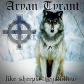 Like Sheeps They Follow