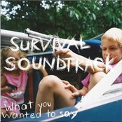Survival Soundtrack - Every Single Morning