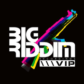 BGRDMVIP002 Big Riddim