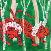 ксилема // Full Lungs