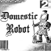 domestic robot