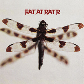 Rat At Rat R