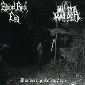 Wandering Towards...