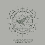 Where Do The Whales Go...