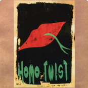 Homo Twist