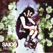 月光 by Saico