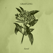 Grayling: Cursed