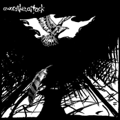 Though We Aren't Birds, We're Still Given To Flight