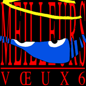 MEILLEURS V​Œ​UX VI