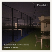 Superioridad en Decadencia Humana y Animal