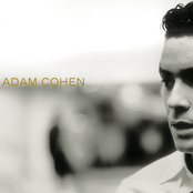 Quarterback by Adam Cohen