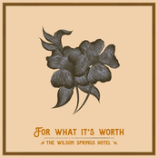 For What It's Worth