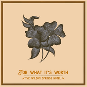 The Wilson Springs Hotel: For What It's Worth