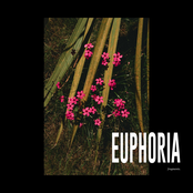 EUPHORIA / fragments.
