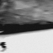 Patterns of Behavior