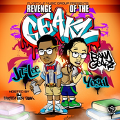 Revenge Of The Geakz