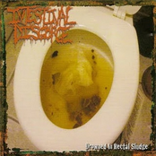 Rectum Grinder by Intestinal Disgorge