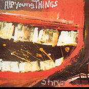 Never Trust The Man by Hip Young Things
