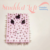 Studded Left: Popular Intuition