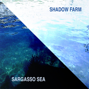 Sargasso Sea