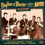 Rhythm 'N' Bluesin' By the Bayou: Vocal Groups