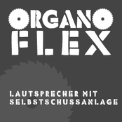 Lautsprecher mit Selbstschussanlage