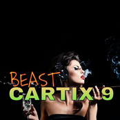 cartix 9