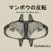 マンボウの反転