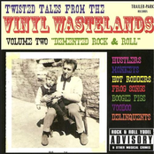 Twisted Tales From The Vinyl Wastelands Vol. 2 - Demented Rock & Roll
