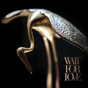 Pianos Become The Teeth: Wait For Love