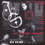 Year of the Snake Vol. 2: At Close Range