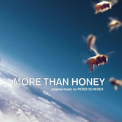 More Than Honey (Markus Imhoof's Original Motion Picture Soundtrack)