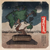 Ogrody Drzewek Bonsai