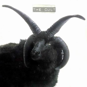 Joy by The Cult