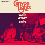 Canyon Lights: Walk Away
