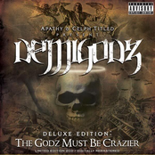 The Godz Must Be Crazier Album Picture