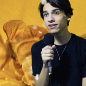 Allergic to Bees - Single